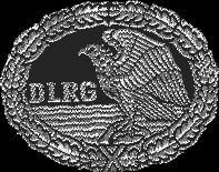 Deutsches Rettungsschwimmabzeichen Silber